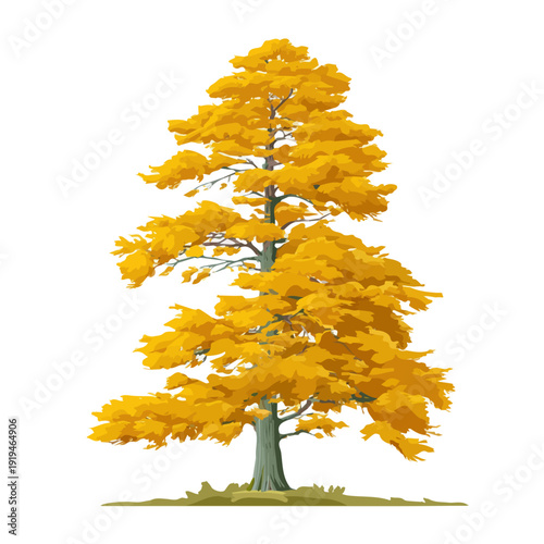 Clean 2D flat vector depiction of a Alaskan Yellow Cedar Tree, designed in minimalist modern style with white background.