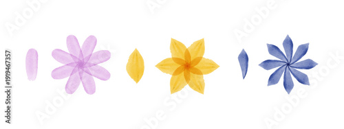 Three groups of watercolor flowers and their single petals are arranged horizontally on a white surface.