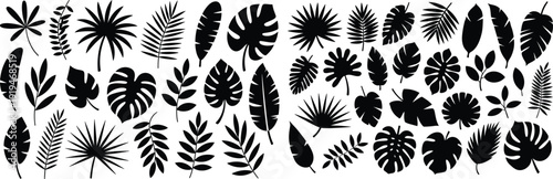 Tropical leaf silhouette collection, palm monstera banana fern leaves vector set for botanical design, summer patterns, nature illustrations icons backgrounds