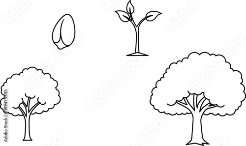 Tree growth icons, seed sprout, young plant, small tree, mature tree, eco life cycle, plant development, sustainable nature, green environment, biology education