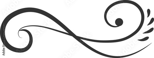 Divider ornamental classic elegant hand drawing element