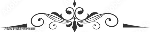 Divider ornamental classic elegant hand drawing element