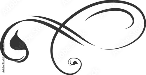 Divider ornamental classic elegant hand drawing element