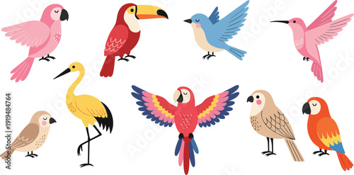 Flat vector illustration of colorful tropical birds collection featuring parrots toucan hummingbird and crane for nature