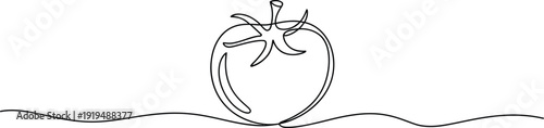 Minimalist continuous line drawing of a fresh ripe tomato, a simple yet elegant graphic illustration emphasizing healthy eating and natural produce in a modern artistic style