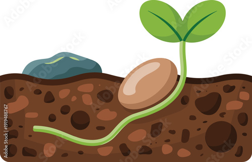 Young green plant sprouting from a seed in brown soil with a blue rock nearby