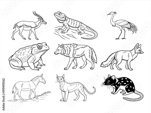 the animal bird and flower black vector bundle