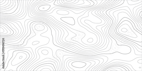 Modern Abstract Topographic Map Background with Gray Contour Lines, Organic Flowing Elevation Curves and Minimal Geographic Terrain Pattern Texture.