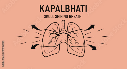 Kapalbhati breathing diagram illustrating human lungs and airflow, showing inhalation and exhalation for pranayama practice.