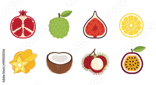 Assortment of colorful tropical fruit slices