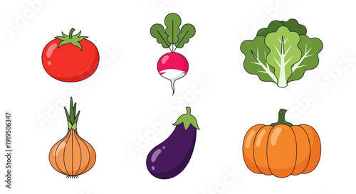 Vegetable illustrations tomato radish lettuce