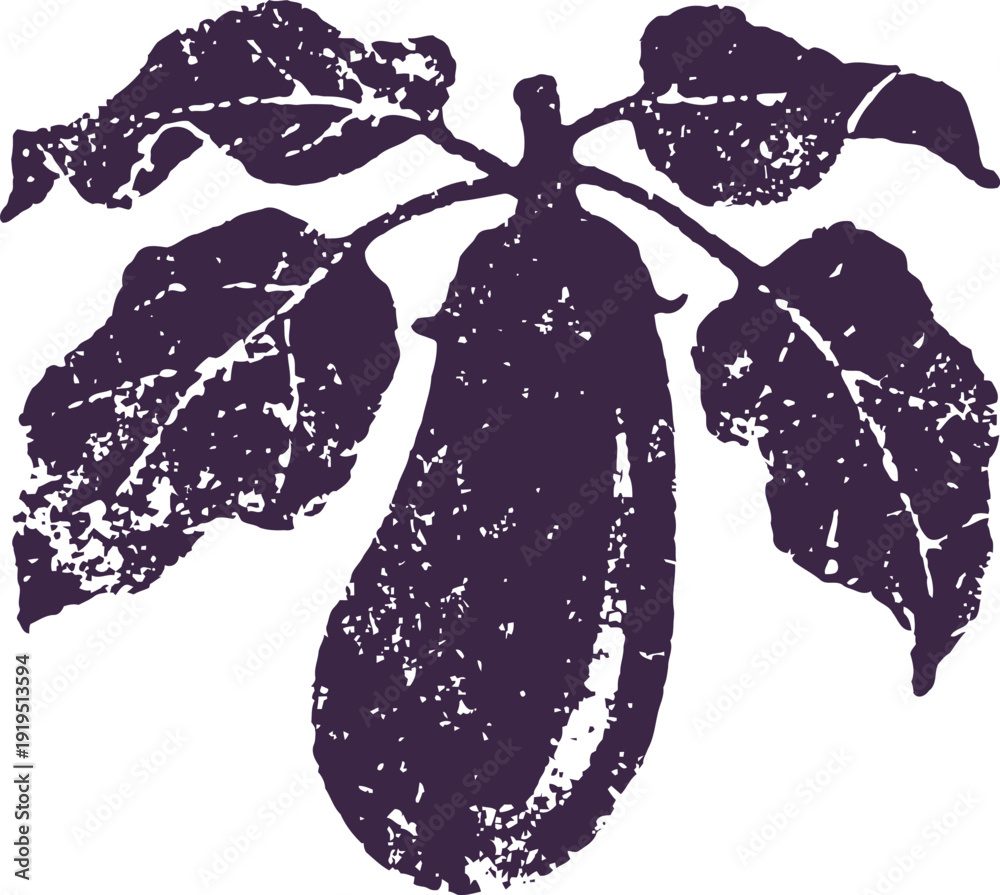 Obraz premium Vintage eggplant engraving with leaves, natural vegetable illustration in classic botanical