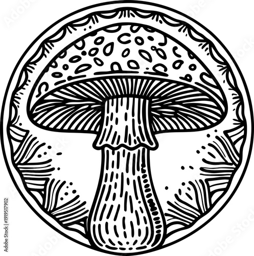 Detailed black and white illustration of a mushroom with textured cap and gills inside circular frame