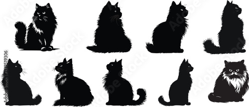 cat silhouettes vector set. Fluffy, short hair and slender feline breeds in minimalist style. Black and white collection isolated on white background for graphic design.