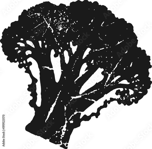 Broccoli silhouette isolated on white background fresh vegetable icon, healthy eating and nutrition concept