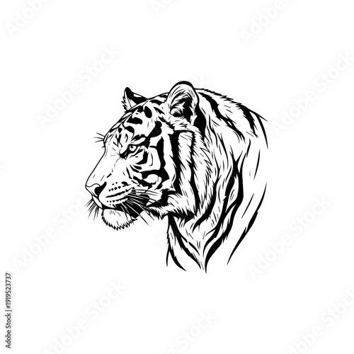 Majestic Tiger Head Profile Line Art Illustration