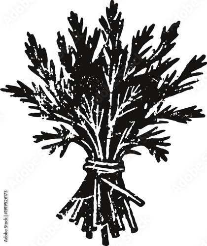 bundle of fresh leafy herbs tied with string illustration, natural seasoning and cooking ingredient