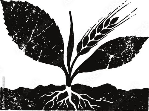 Black and white illustration of plant with leaves, roots, and grain growing from soil layer