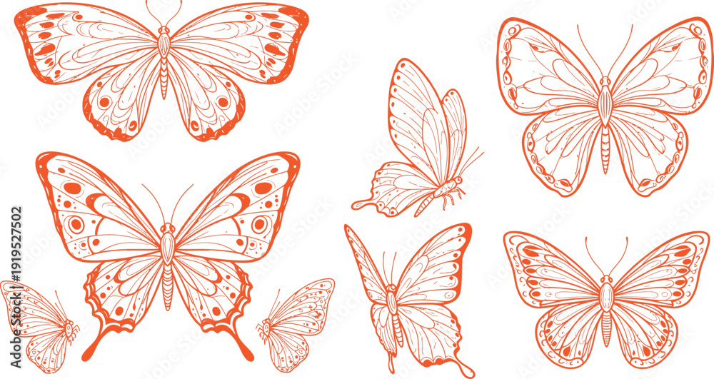Fototapeta premium Illustration of various butterfly shapes and designs in orange on white background