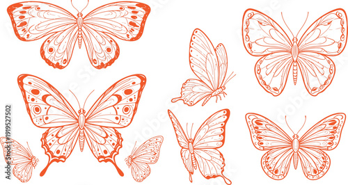 Illustration of various butterfly shapes and designs in orange on white background