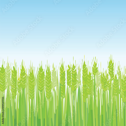Green wheat field illustration against a gradient blue sky