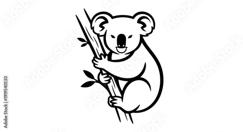 Photography Koala bear illustration black and white vector art on white background