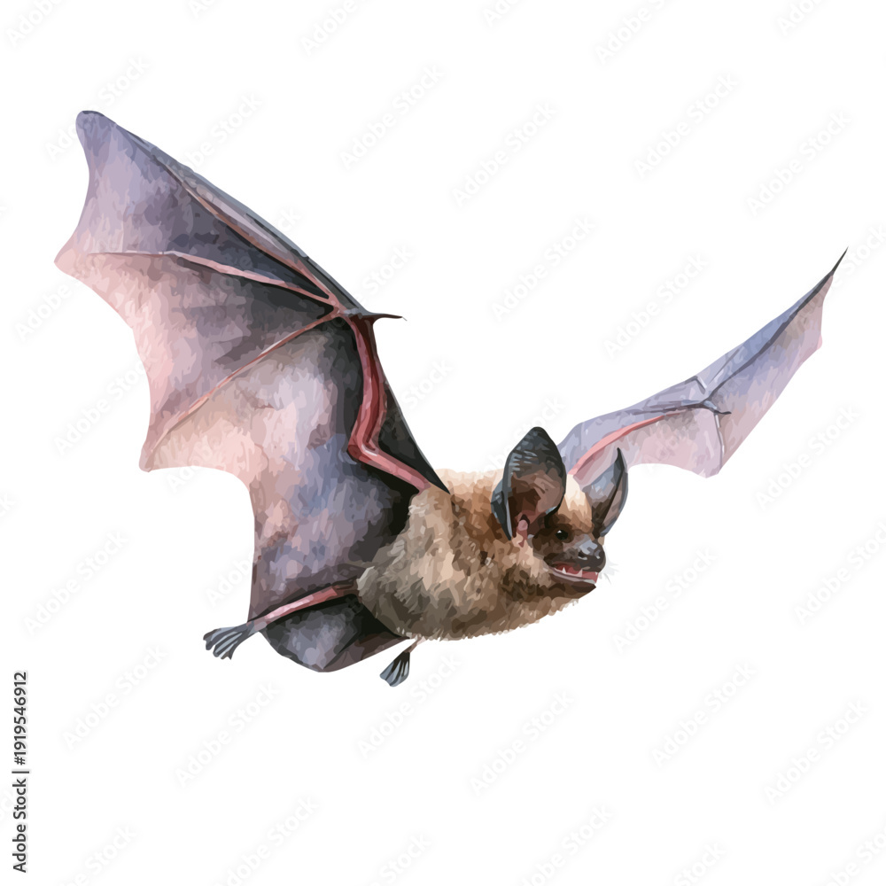 Ταπετσαρία Bat watercolor vector illustration, high-quality artwork isolated on a pure white background