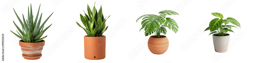Ταπετσαρία Lush Potted Houseplant Collection PNG Set, Monstera, Aloe Vera, and Snake Plants
