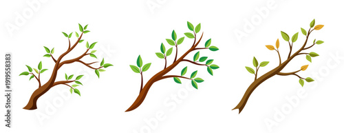 Stylized tree branches with green and autumn leaves on white