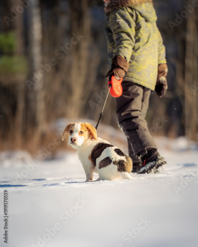 child walking in winter park with dog