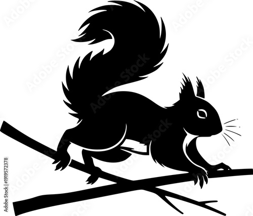 Squirrel vector black silhouette print design
