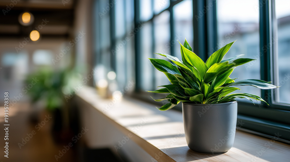 Fototapeta premium Bright green loft interior with large windows natural daylight potted plant on light surface minimalist Scandinavian aesthetic peaceful home atmosphere contemporary living