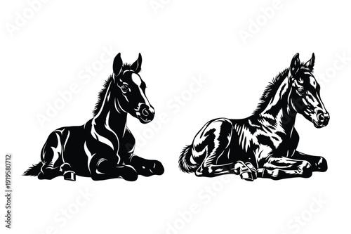 Two Adorable Foals Lying Down, Engraved Style