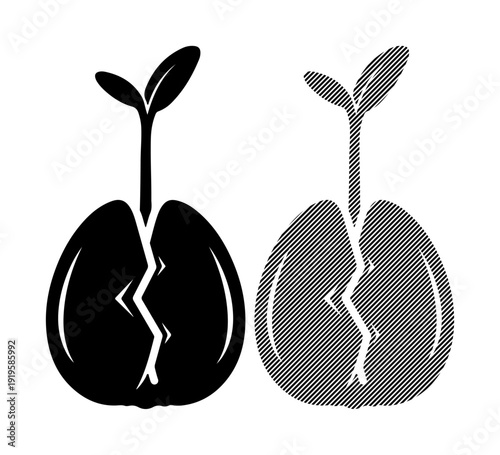 New life emerges from a cracked seed, symbolizing growth and renewal.