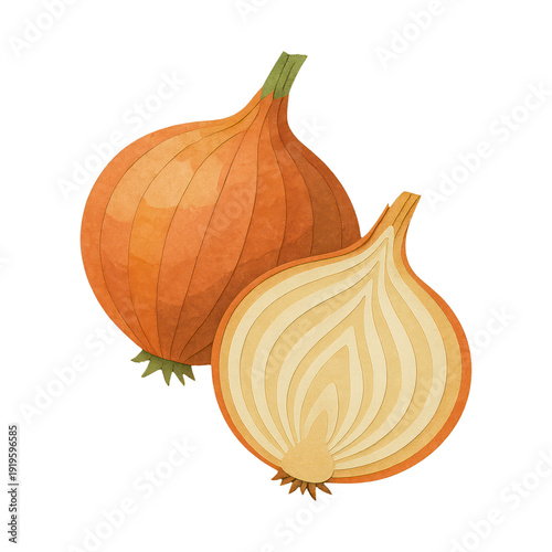 Wallpaper Mural PNG Illustration of whole and sliced onion. Torontodigital.ca