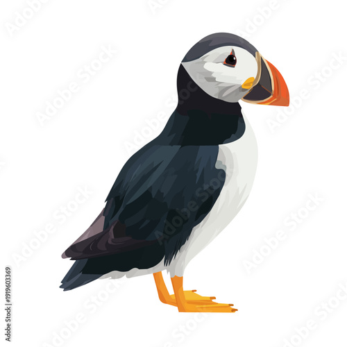 Puffin, rendered in a minimalist 2D flat vector icon style against a pure white backdrop