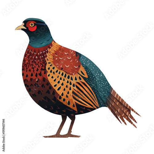 Minimalist 2D vector icon representation of a Pheasant, displayed on a pure white background