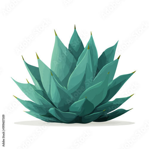 Simple flat 2D vector graphic of a Agave in modern icon style, isolated on a white canvas