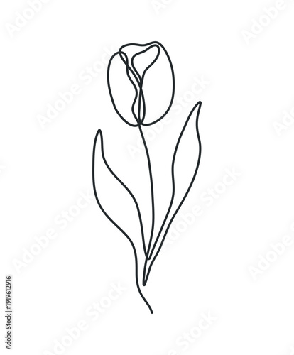 Wallpaper Mural Mother's Day tulip line art with flowing continuous drawing. Elegant floral outline illustration perfect for greeting cards, posters, gifts for moms. Isolated doodle vector illustration. Torontodigital.ca