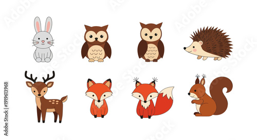 Cartoon forest animals illustration
