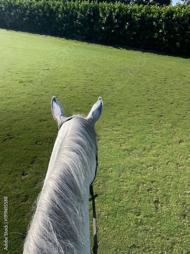 Riding horse POV