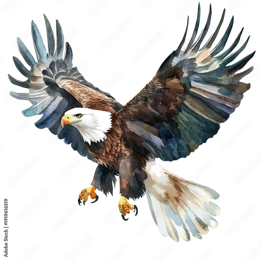 Obraz premium Eagle, high quality watercolor illustration with transparent textures, isolated on a white background.