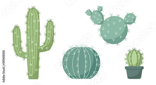 Collection of Various Desert Cacti Plants in Different Shapes and Sizes.