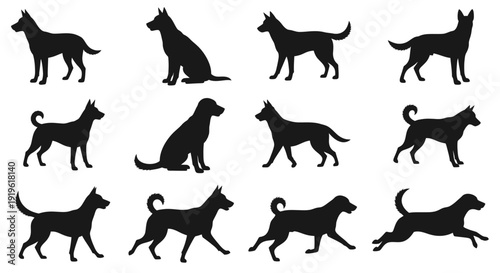 Collection of various dog silhouettes in different poses and actions.