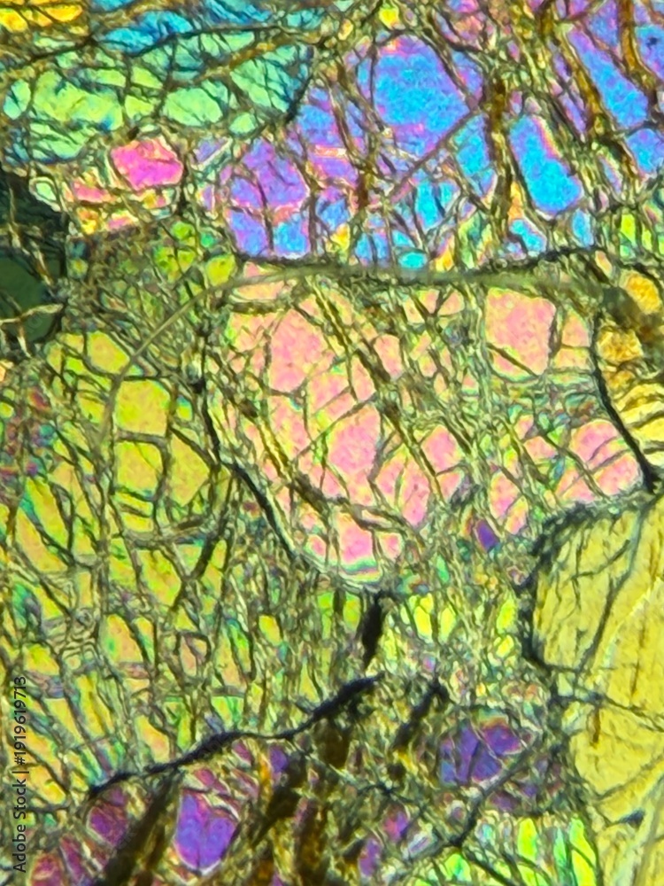 Ταπετσαρία Polarized light micrograph showing colorful olivine crystals in dunite