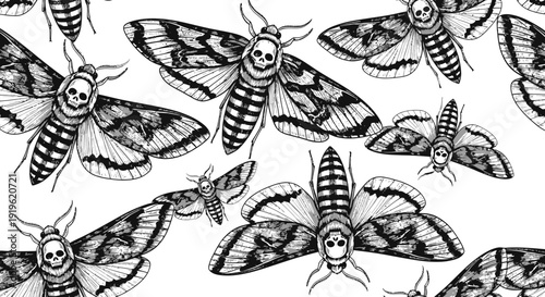 death's head moth pattern, black and white illustration