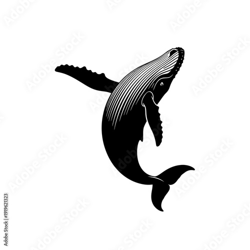 Black and white graphic illustration of a humpback whale swimming upwards, a majestic marine mammal.