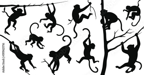Monkey silhouettes set in various climbing and jumping poses, black primate animal vector collection isolated on white background for design
