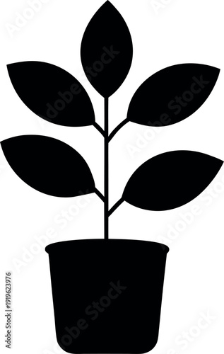 Black silhouette rubber plant with symmetrical leaves