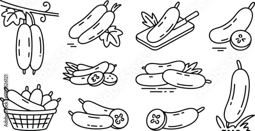 A collection of various pear and fruit illustrations